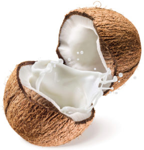 Coconut MCT Boost